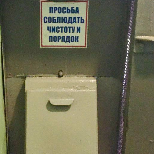 photo 2025-11-07 15.47.