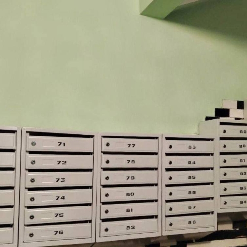 photo 2025-11-07 15.51.