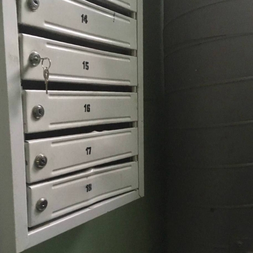 photo 2025-11-07 15.51.