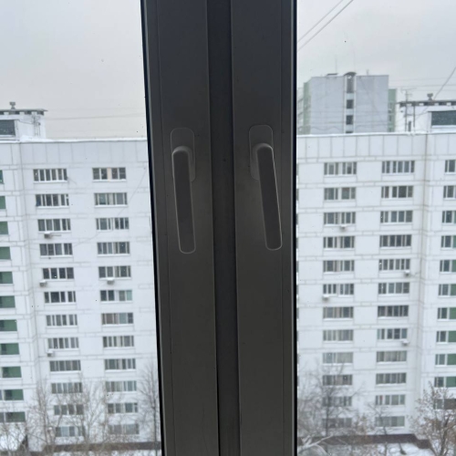 photo 2026-01-16 16.16.