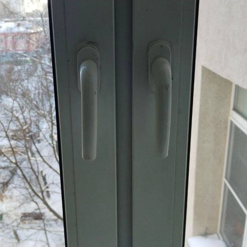 photo 2026-02-19 17.41.