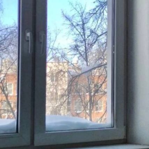 photo 2026-02-19 17.41.