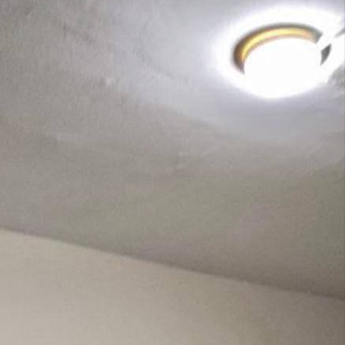 photo 2026-02-19 17.41.