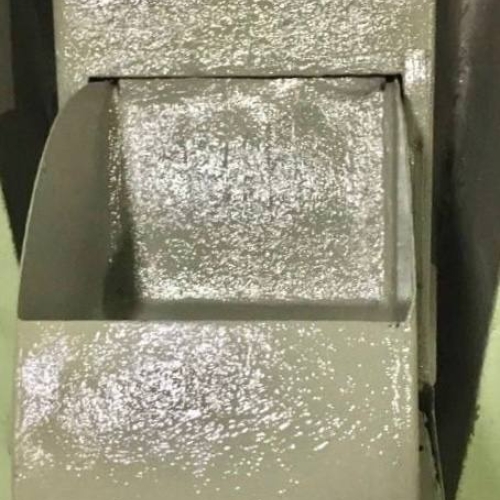 photo 2026-02-19 17.45.