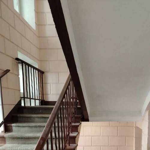 photo 2026-02-19 17.45.