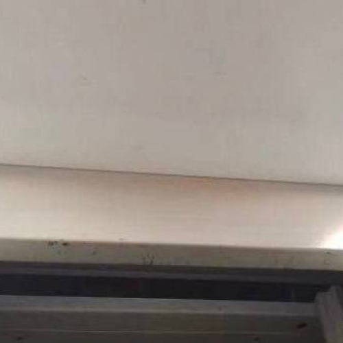 photo 2026-02-19 17.45.