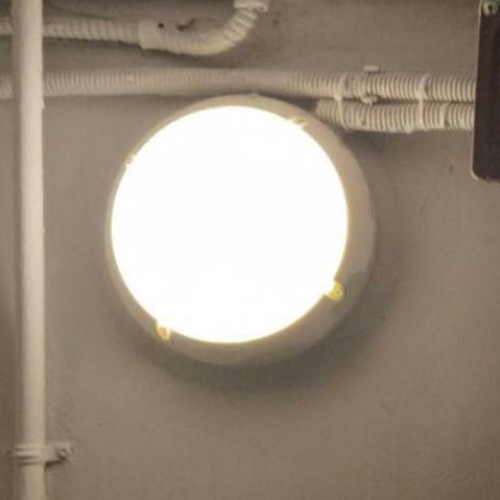 photo 2026-02-24 19.23.