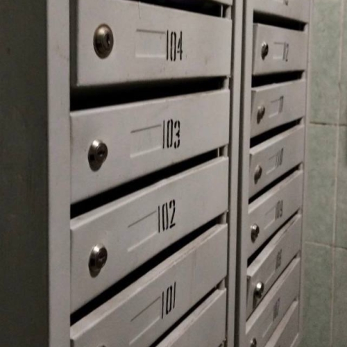 photo 2026-03-06 13.46.