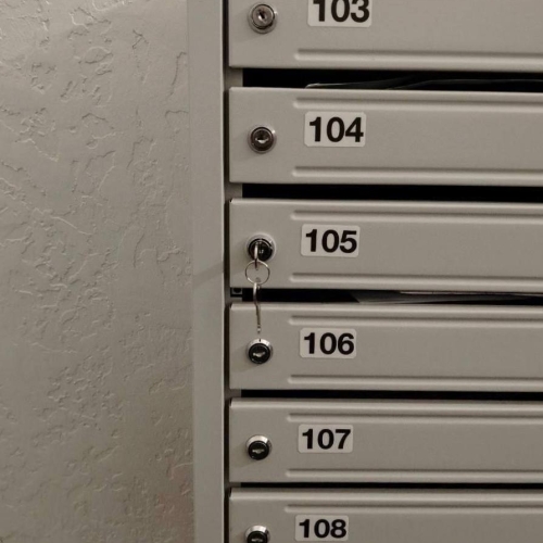 photo 2026-03-06 14.09.