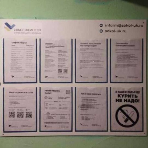 photo 2026-03-13 15.29.