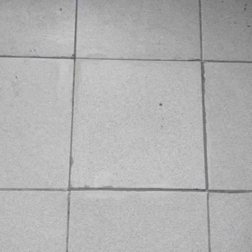 photo 2026-03-13 15.29.