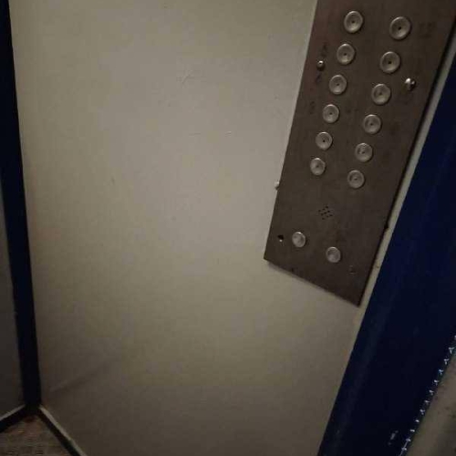 photo 2026-03-13 15.29.