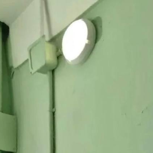 photo 2026-03-20 15.23.