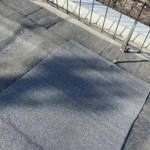 photo 2026-04-03 14.14.