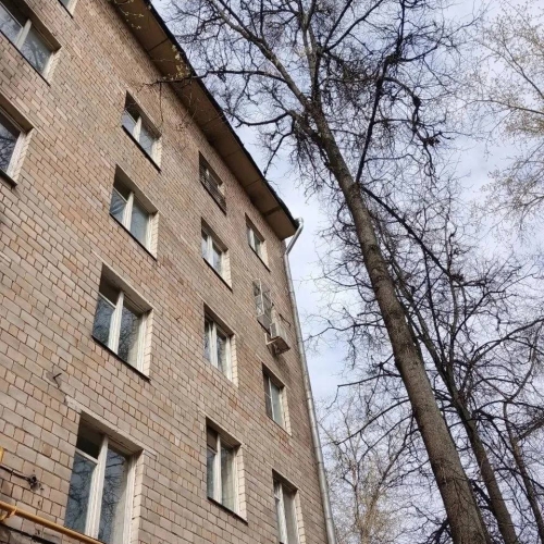 photo 2026-04-17 18.18.