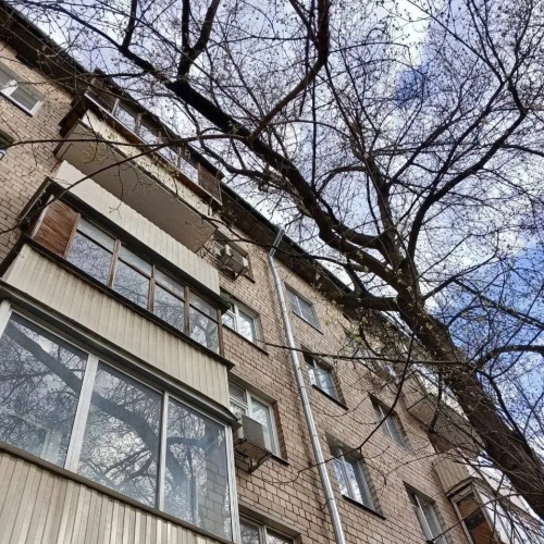 photo 2026-04-17 18.18.